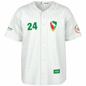 Val-U-Pest Team Baseball Jersey - Wyld 24