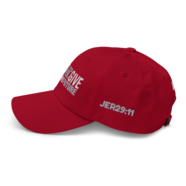 I Know The Plans Dad Hat (5 colors)