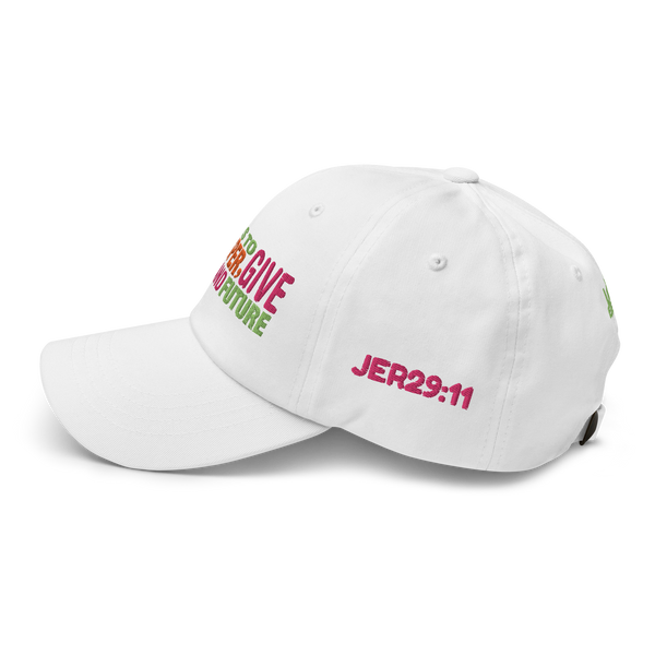 I Know The Plans Dad Hat (5 colors)