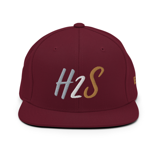 EGA H2S Snapback (3 colors)