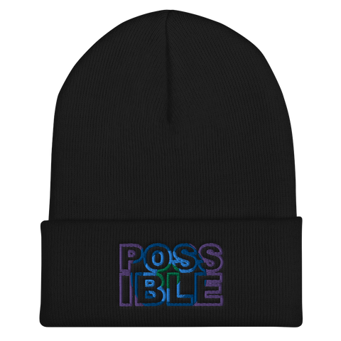 Possible Cuffed Beanie (3 colors)