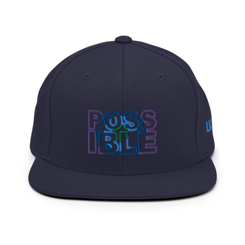 Possible Snapback (2 colors)