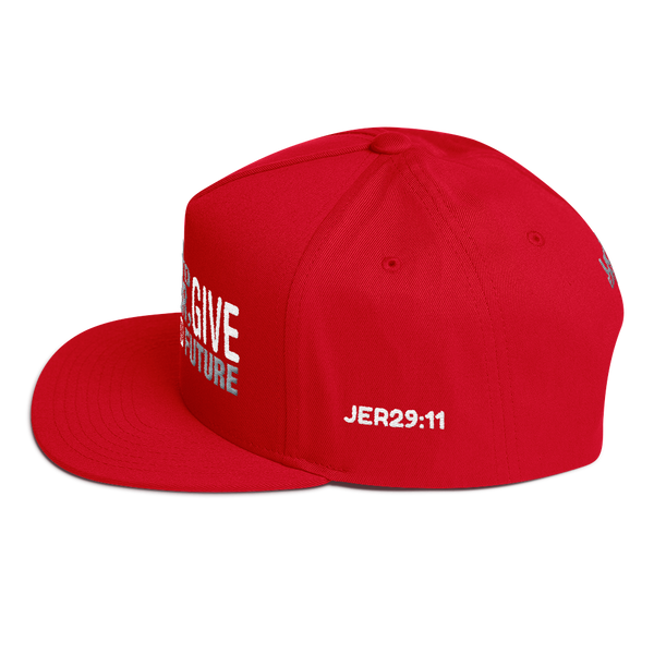 I Know The Plans Snapback (4 colors)