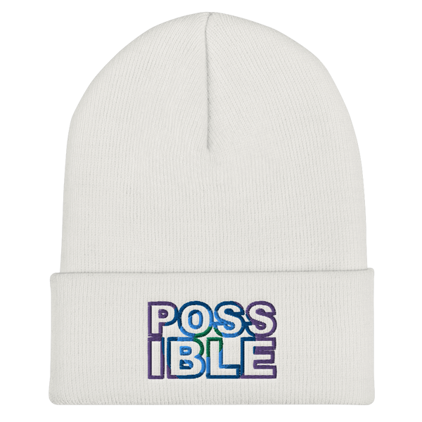 Possible Cuffed Beanie (3 colors)
