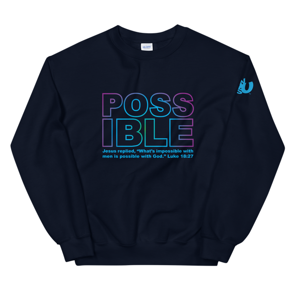 Possible Sweatshirt (4 colors)