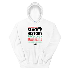 Black History Didn't Start Here Hoodie (2 colors)