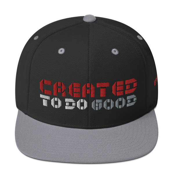Created To Do Good Snapback (4 colors)