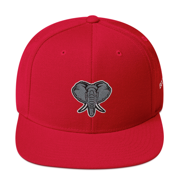 An Elephant Snapback (Navy/Silver/Red)