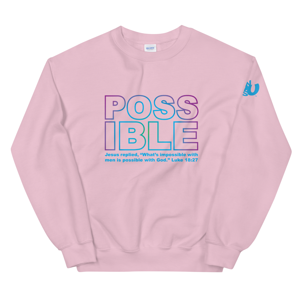 Possible Sweatshirt (4 colors)