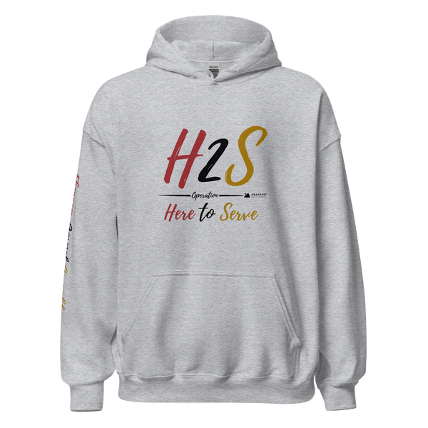 EGA H2S Hoodie (4 colors)