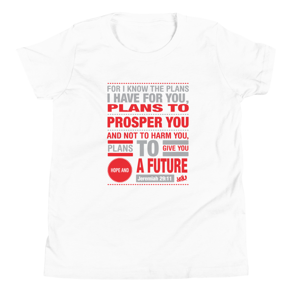 I Know The Plans T-Shirt - Youth (4 colors)